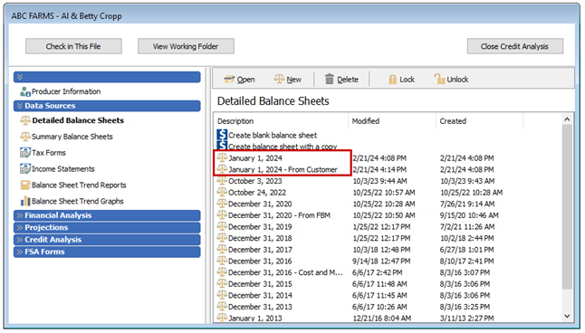 You can view Detailed Balance Sheets in the Credit Analysis file after the import is complete.